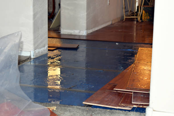Professional Burst Pipe Cleanup technician working in Andrews, IN